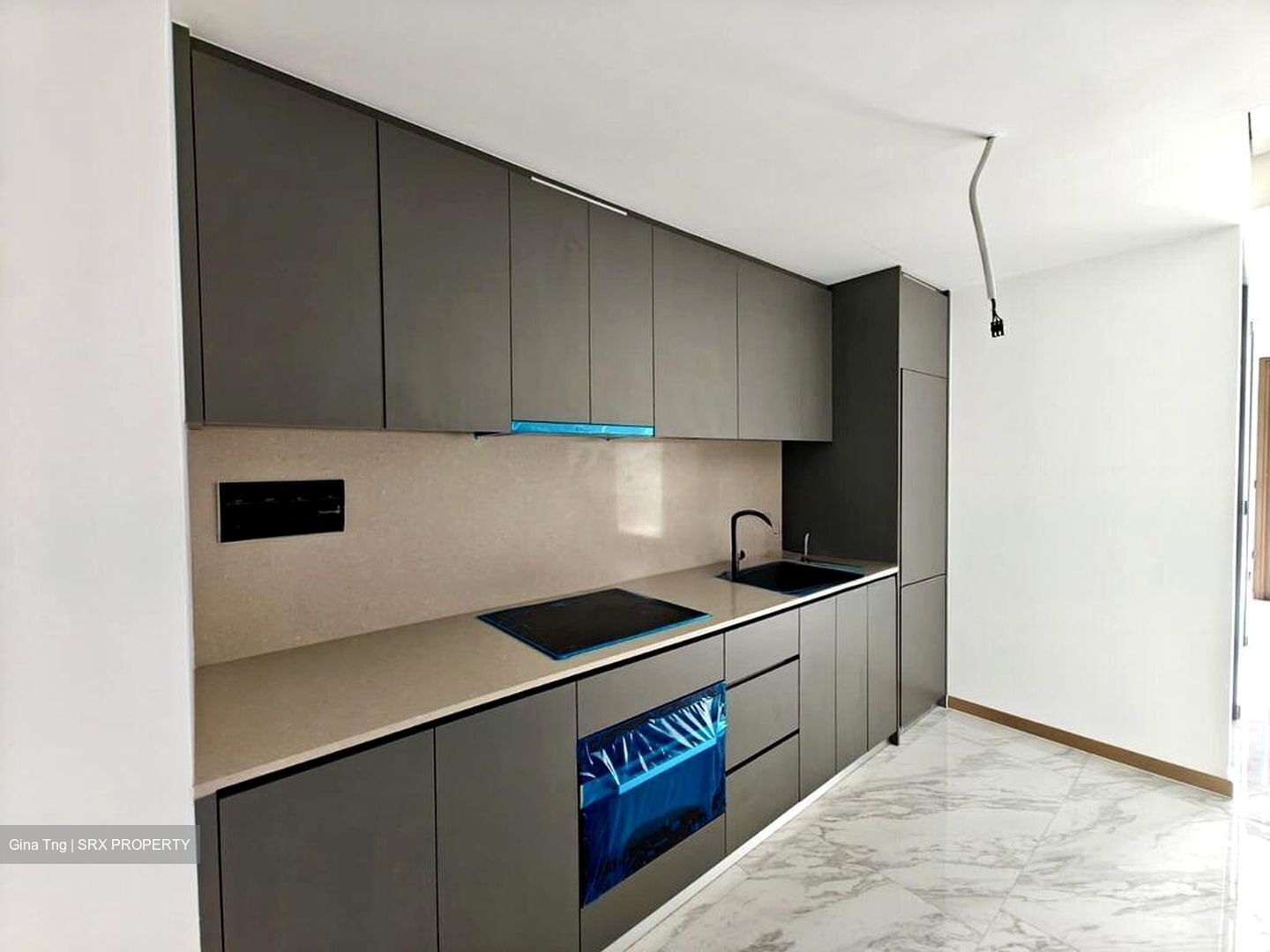 The Landmark (D3), Condominium #520533461